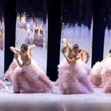 Casse-Noisette (Europa Danse Company)